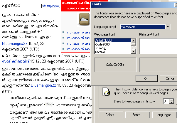 Internet Explorer 6 浏览器截图